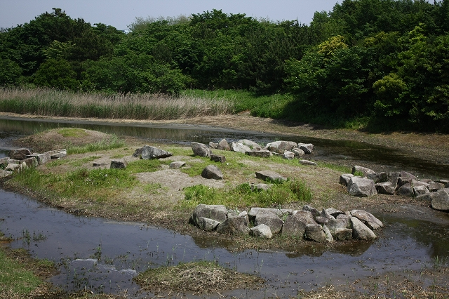 ★ひがた・たんぼ倶楽部の報告（2011.5.21）_e0046474_16294647.jpg