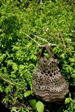 c0057781_133697.jpg