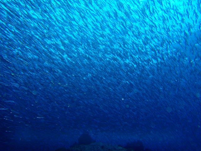 e0064291_21165714.jpg