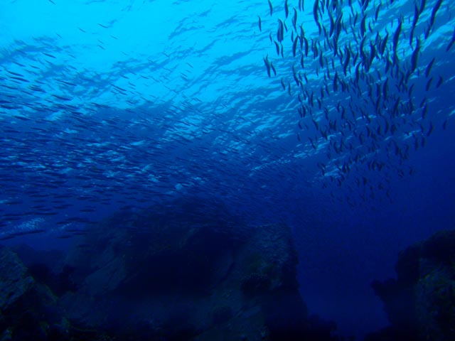 e0064291_21291871.jpg