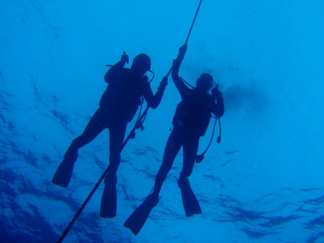 e0064291_21335826.jpg