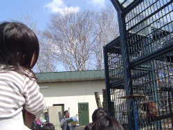 ２０１１年４月３０日（土）後編・旭山動物園_e0143793_23452277.jpg