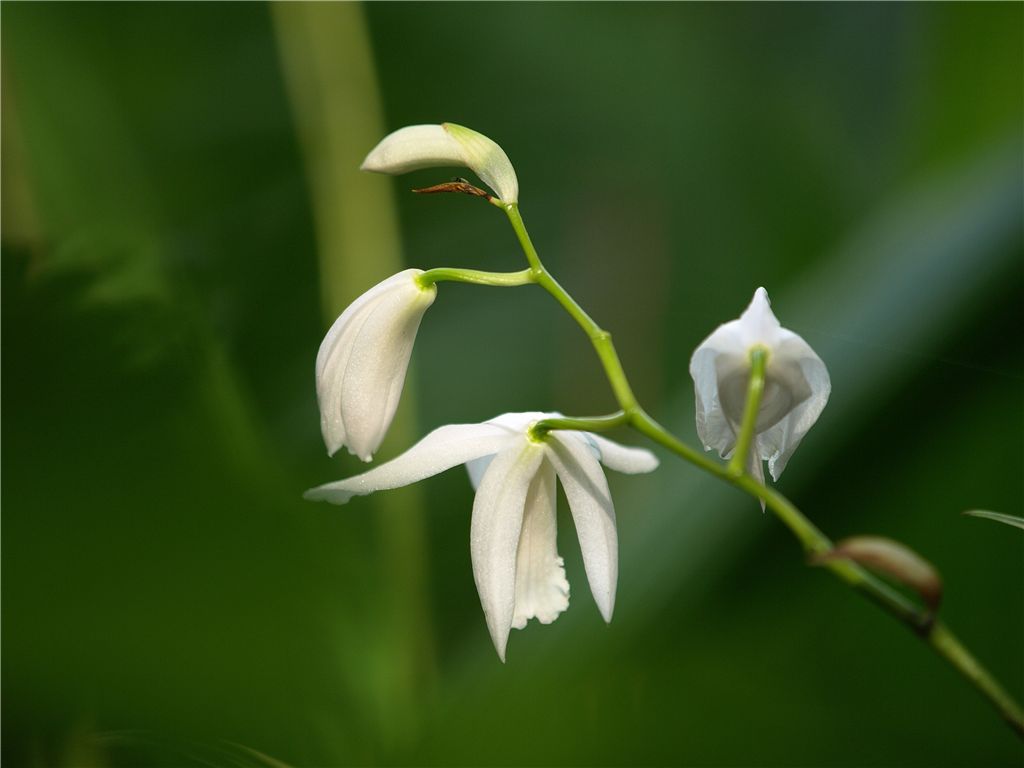 赤塚植物園花コミュ会off会2_f0224100_003279.jpg