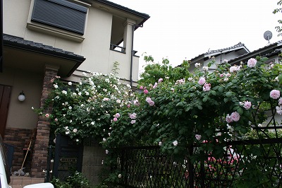 b0199304_23214579.jpg