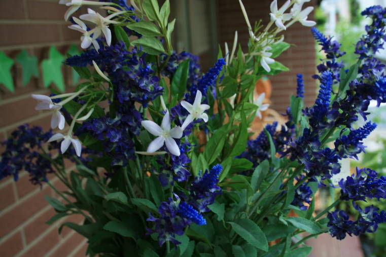 f0031304_6414037.jpg