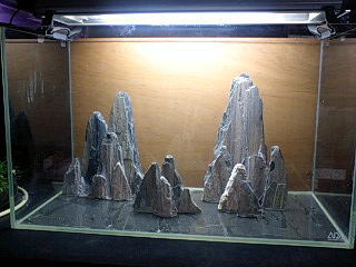 ADA 桂林石 限定再入荷!_b0141806_22121790.jpg