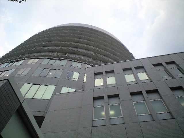 華岡青洲の春林軒とサンバウ病院_a0194908_132994.jpg