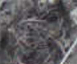 e0103408_15545610.jpg