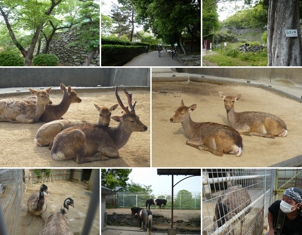 和歌山日帰り旅＊和歌山城内の水禽園と童話園？_f0221708_17323044.jpg