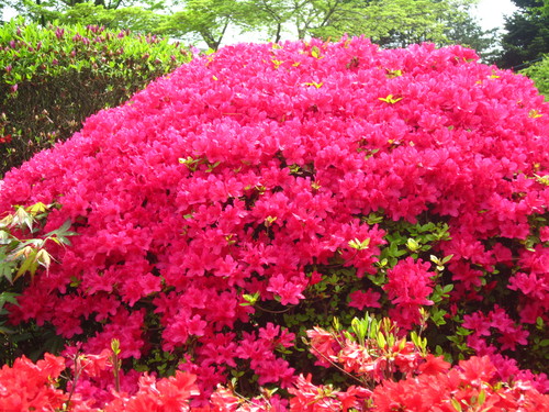 a0002209_1214135.jpg