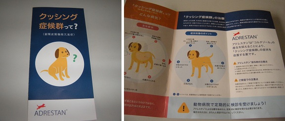 クッシング症候群 副腎皮質機能亢進症 のパンフレット パルちんライフ ver2 クッシング症候群 副腎皮質機能亢進症 のパンフレット パルちんライフ ver2