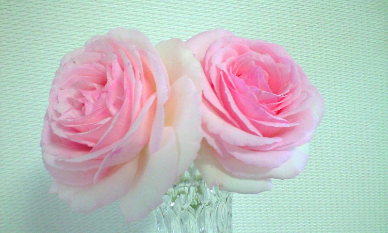 f0171209_23285731.jpg