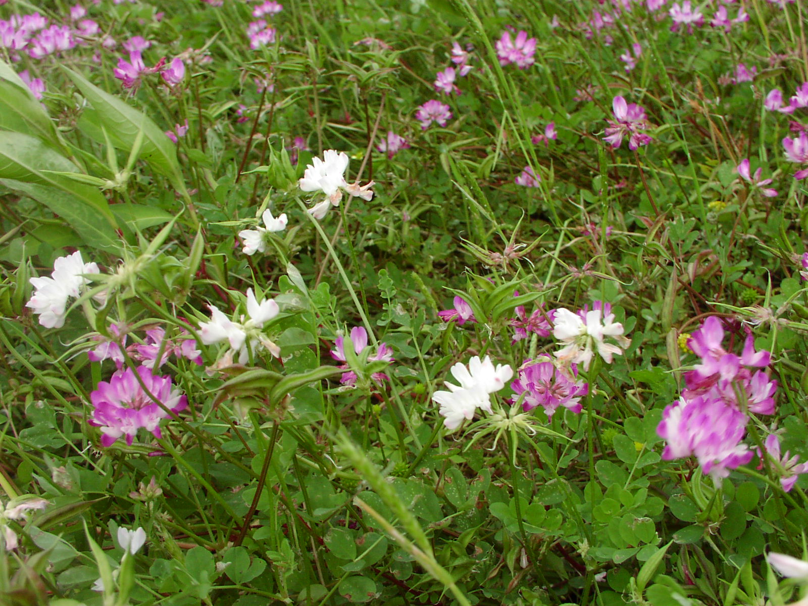 f0164410_2223565.jpg