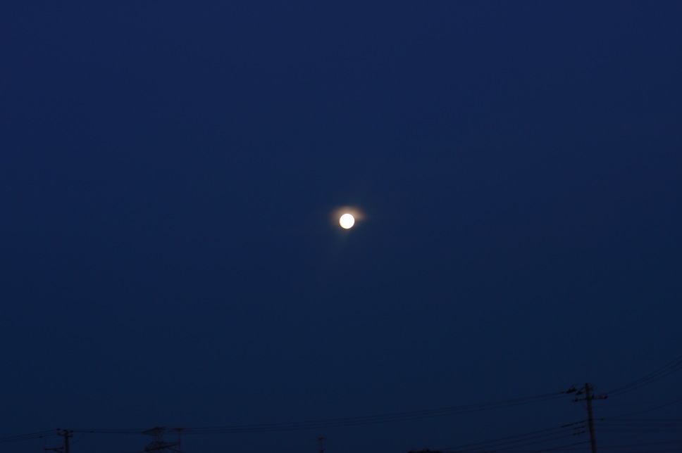 良かった♫_c0222817_15252339.jpg