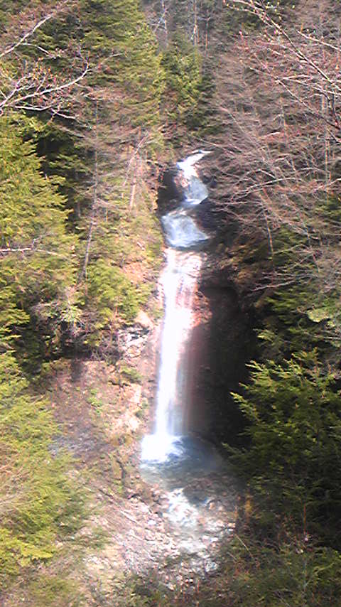 d0004717_4205427.jpg