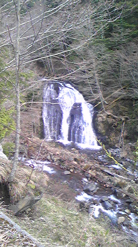 d0004717_4211590.jpg
