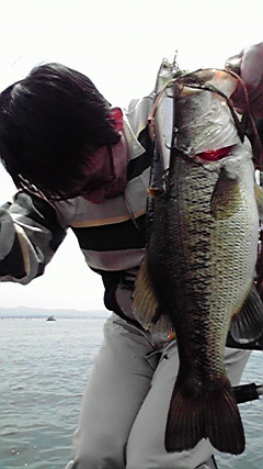 5月25日水曜日。_e0100021_22115562.jpg