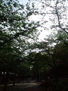 隅田公園…_a0194522_1945342.jpg