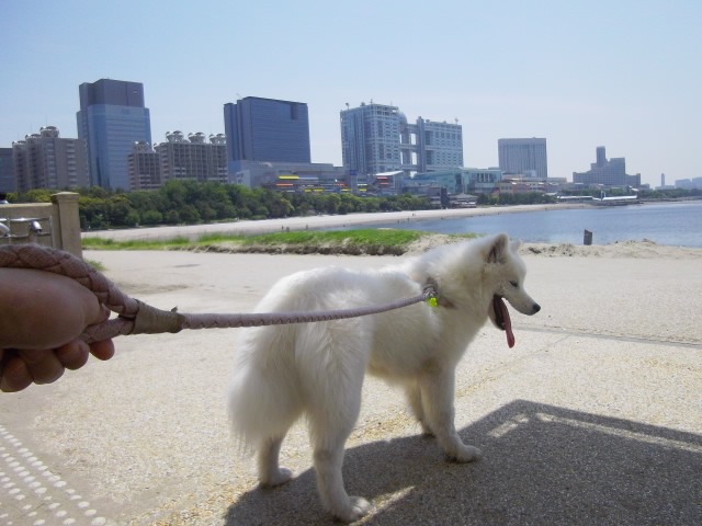 e0224322_05563.jpg