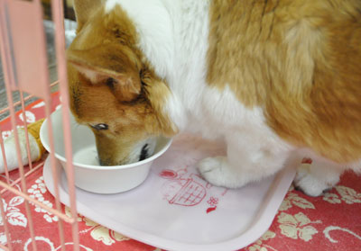 腰痛かも?_d0102523_19465622.jpg