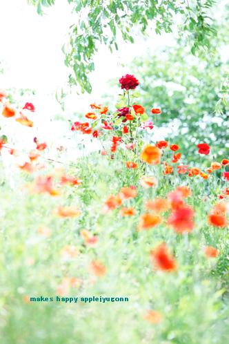 縦構図の花 キラキラしあわせ写真館