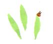 d0175035_16312660.gif