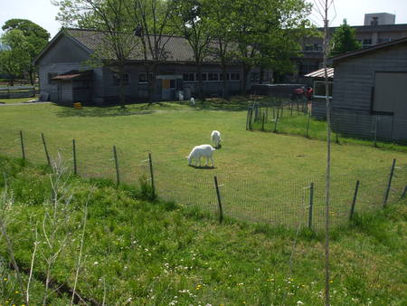 c0202242_10473025.jpg