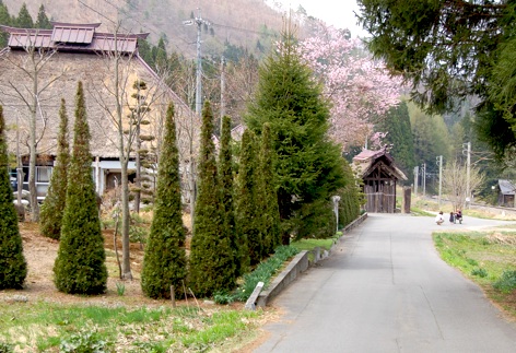 これが白馬村の田園です。_c0002943_17475862.jpg