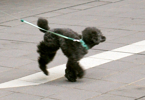 d0026745_061741.jpg