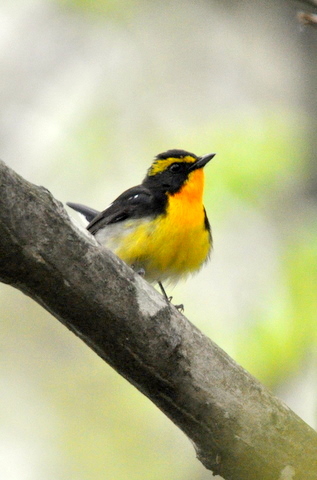 b0165760_21421239.jpg