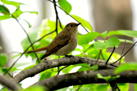 b0165760_21452490.jpg