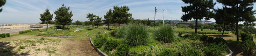 c0108460_21294584.jpg
