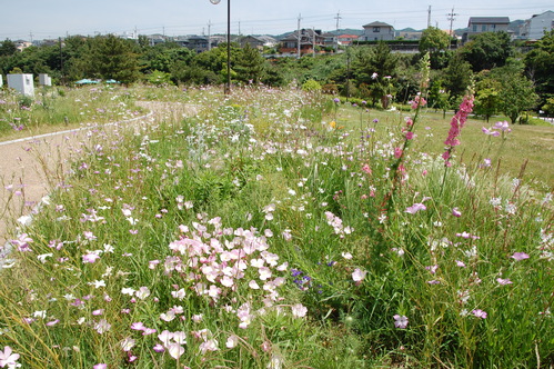 c0108460_21302494.jpg