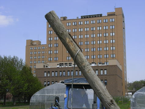 ラズベリー圃場の支柱立て作業 Hoshino Group Communications