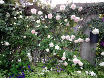d0164070_182219.jpg