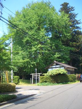 神社の名前は・・・「道路神社」です☆_d0029276_21391151.jpg