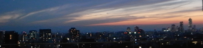 a0180681_28568.jpg