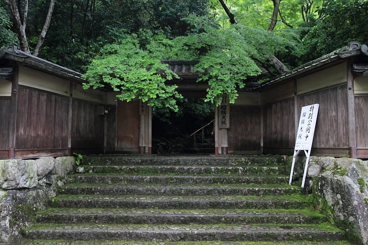 瑠璃光院_e0051888_2141214.jpg