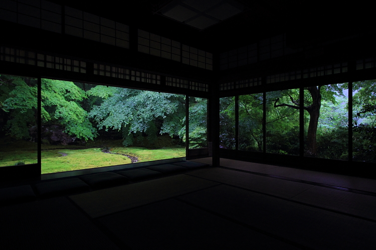 瑠璃光院_e0051888_215034100.jpg