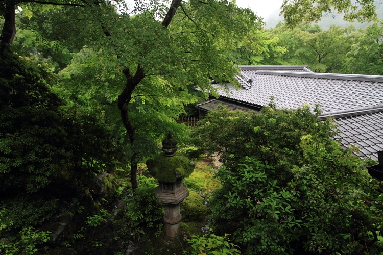 瑠璃光院_e0051888_21525369.jpg