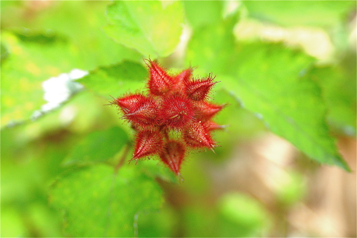 b0217090_20463619.jpg
