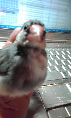 ecoでcool な夏対策。_d0063290_2329211.jpg
