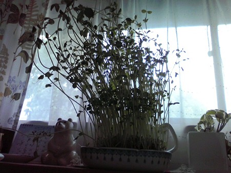 e0230090_21105196.jpg