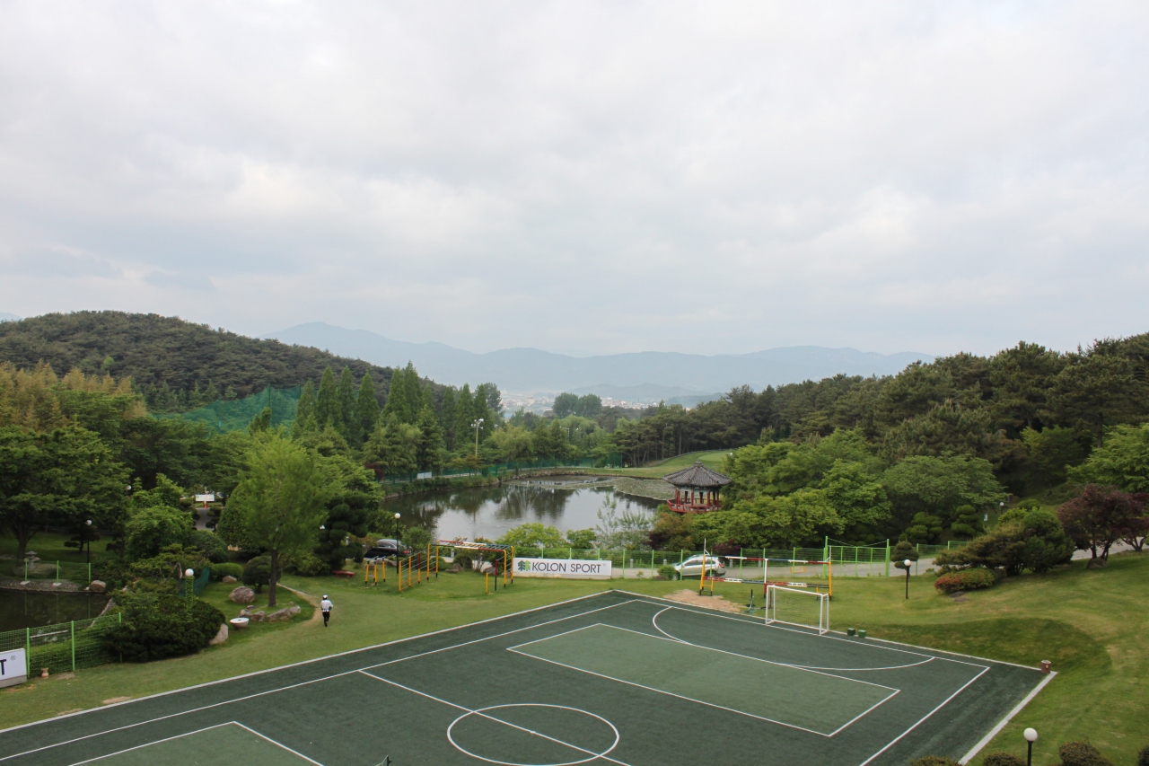 b0177792_18354295.jpg