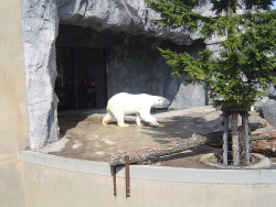 e0143793_0391427.jpg
