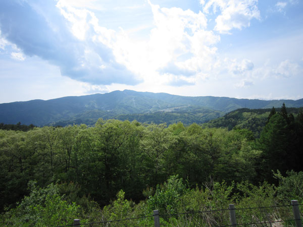 c0117597_23575794.jpg