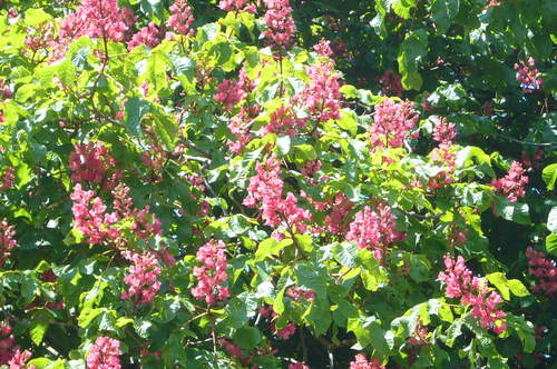 b0117700_05401.jpg