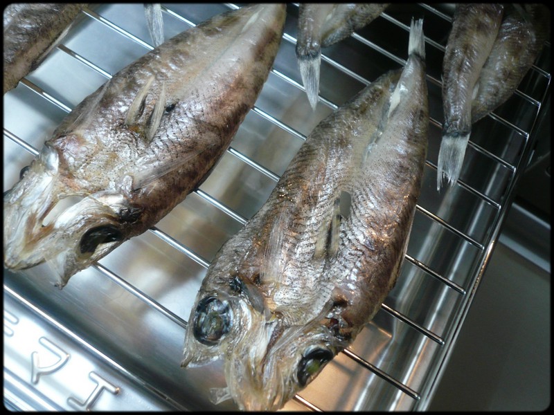 自家製 干物の作り方 メヒカリの干物 魚と野菜と私と和ノ香