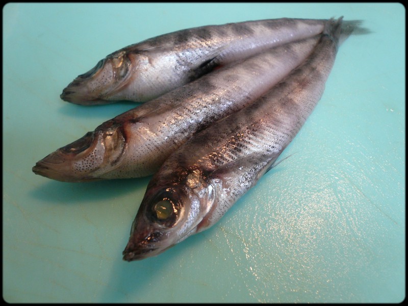 自家製 干物の作り方 メヒカリの干物 魚と野菜と私と和ノ香