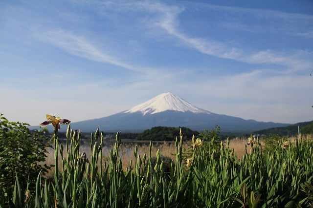 a0188405_813143.jpg